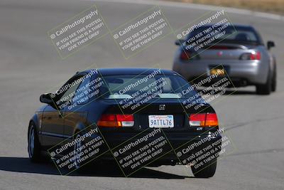 media/Nov-19-2023-Extreme Speed (Sun) [[bd0eec5490]]/Purple/Back Shots/